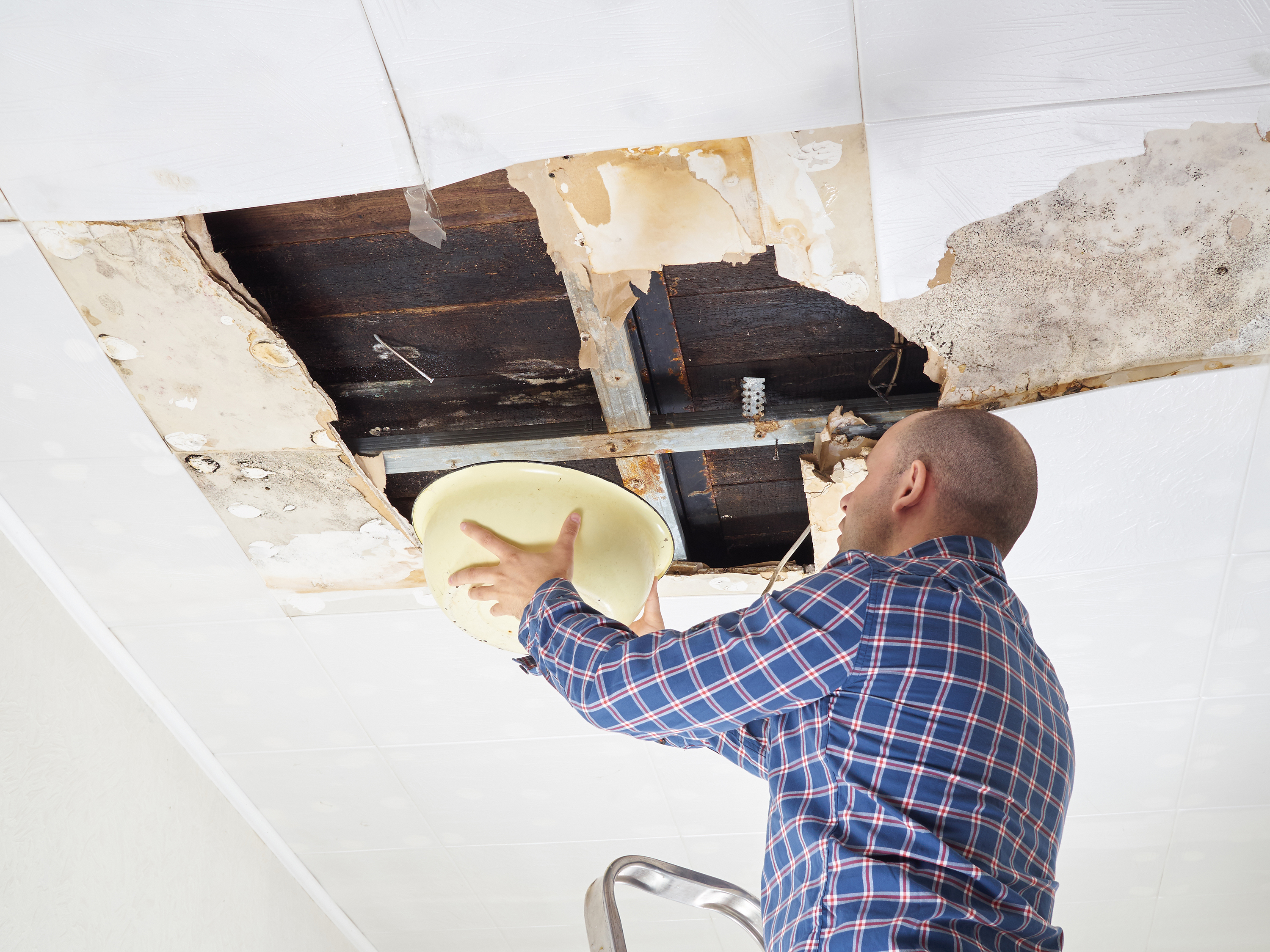 Housing Disrepair